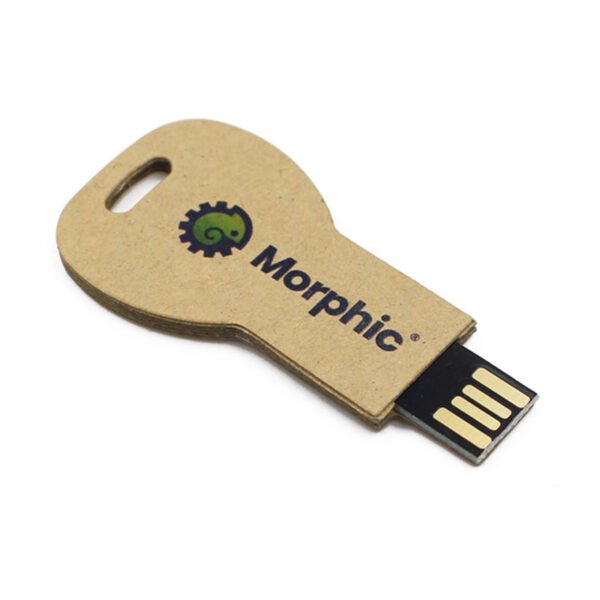 Biodegradable Key USB Flash Drive