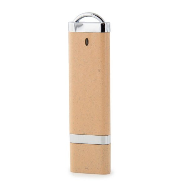Biodegradable USB Stick