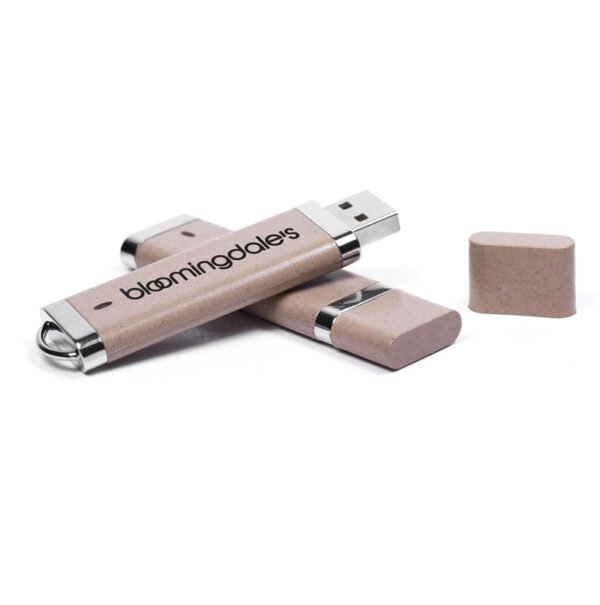 Biodegradable USB Stick