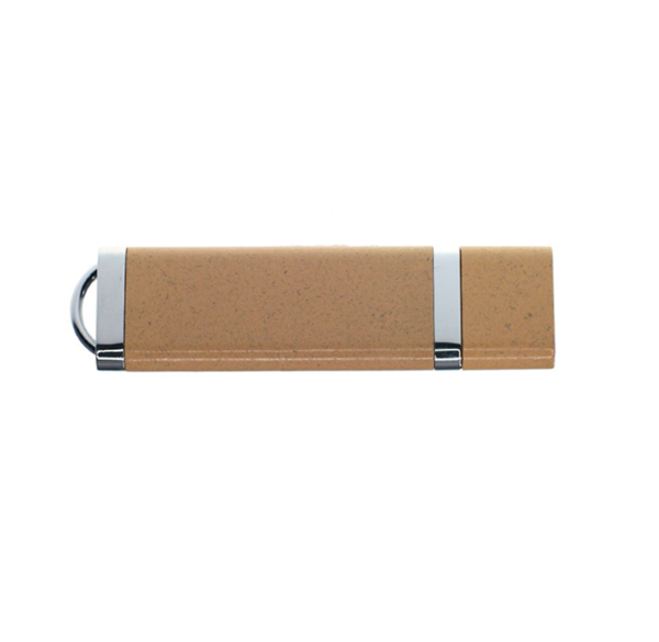 Biodegradable USB Stick