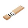 Biodegradable USB Stick