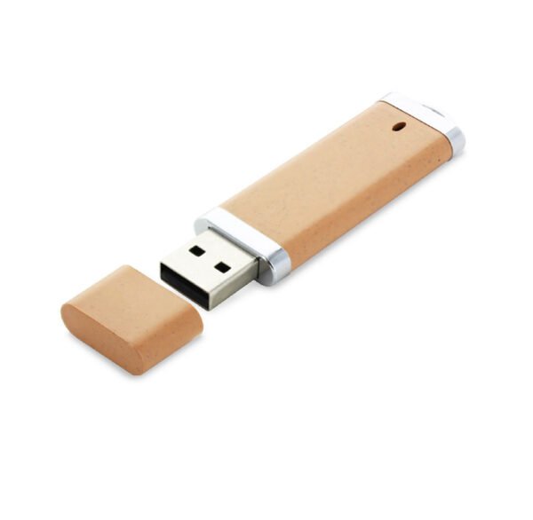 Biodegradable USB Stick