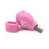 Boxing Gloves USB Flash Drive