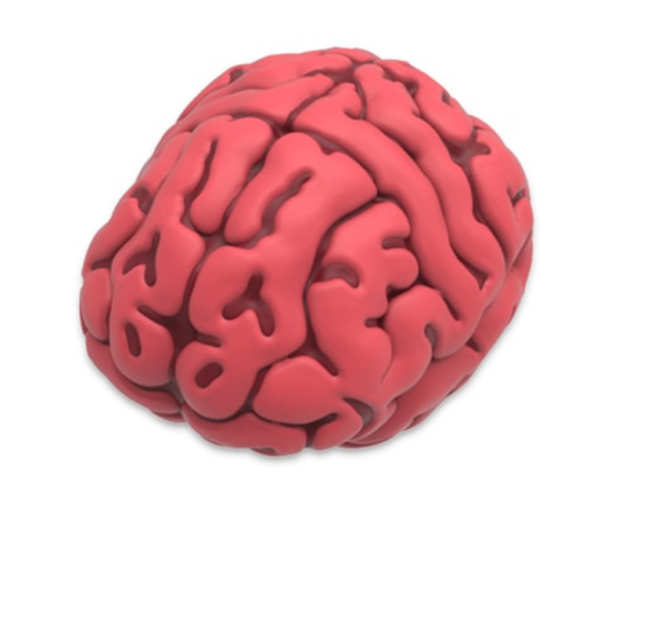 Brain Shape USB Flash Drive
