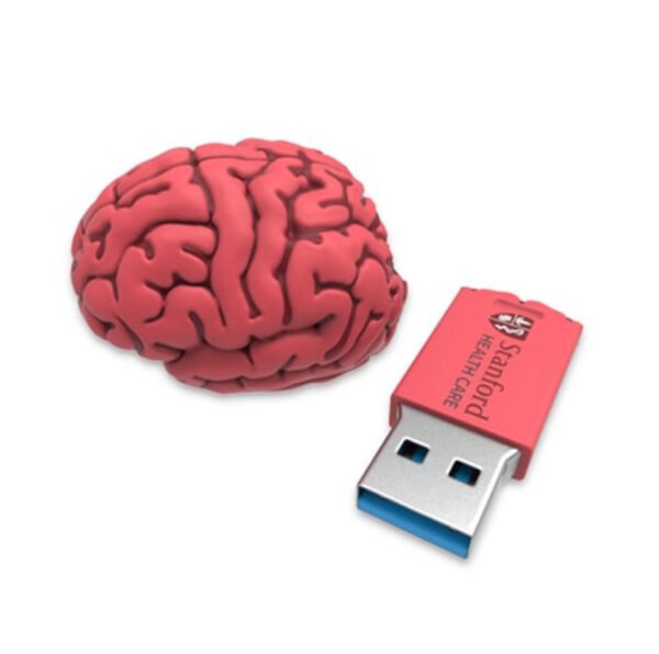 Brain Shape USB Flash Drive