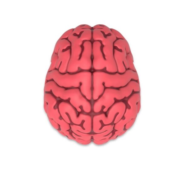 Brain Shape USB Flash Drive