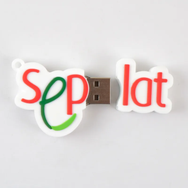Custom Logo USB Flash Drive