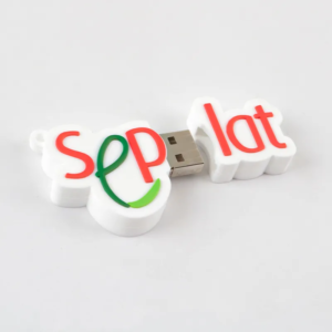 Custom Logo USB Flash Drive