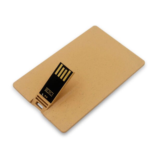 Eco Friendly Card USB Flash Drive