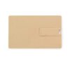 Eco Friendly Card USB Flash Drive