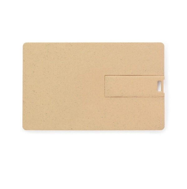 Eco Friendly Card USB Flash Drive