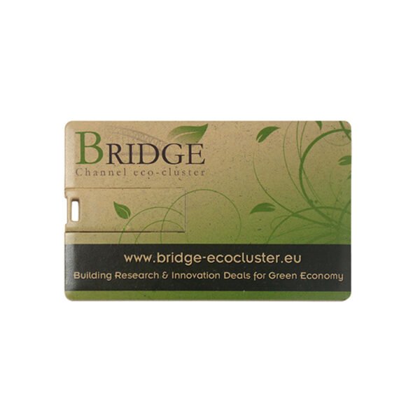 Eco Friendly Card USB Flash Drive