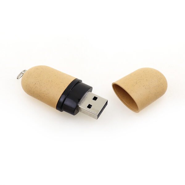 Eco Friendly Pill USB Flash Drive