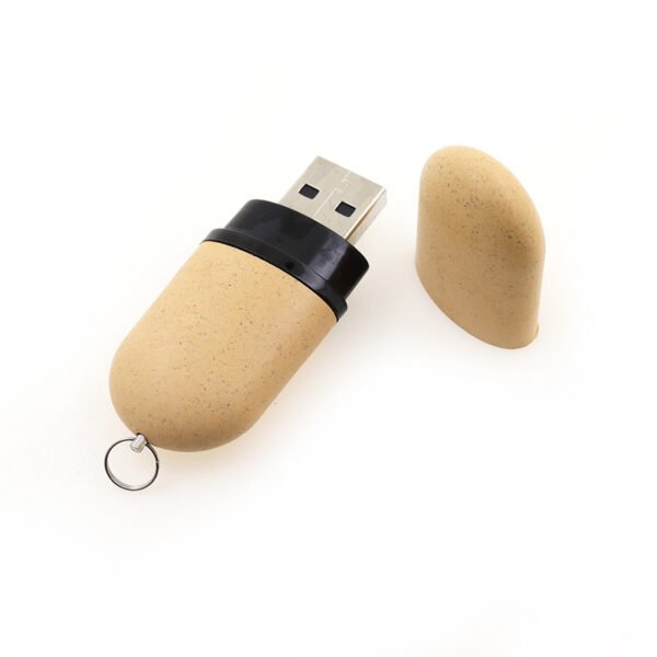 Eco Friendly Pill USB Flash Drive