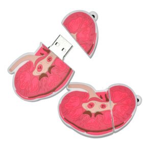 Kidney USB Flash Drive