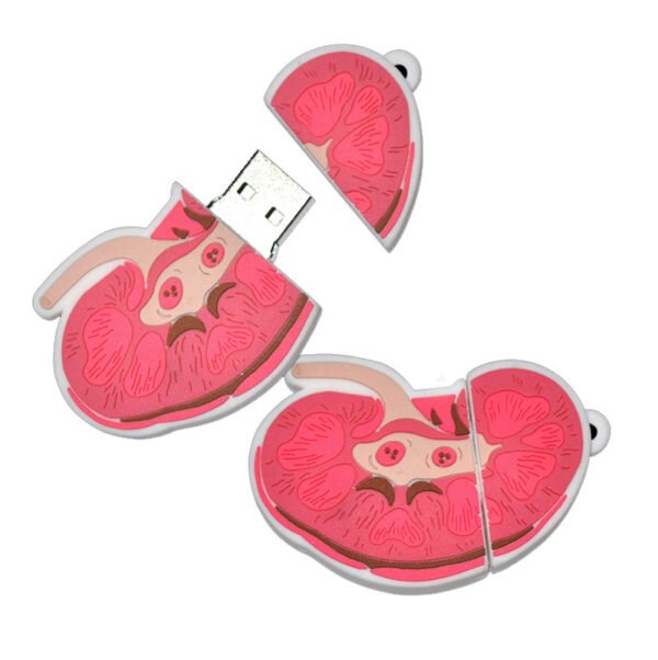 Kidney USB Flash Drive