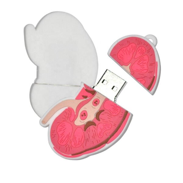 Kidney USB Flash Drive