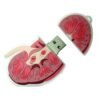Kidney USB Flash Drive