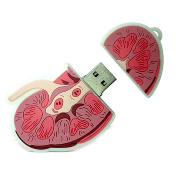 Kidney USB Flash Drive