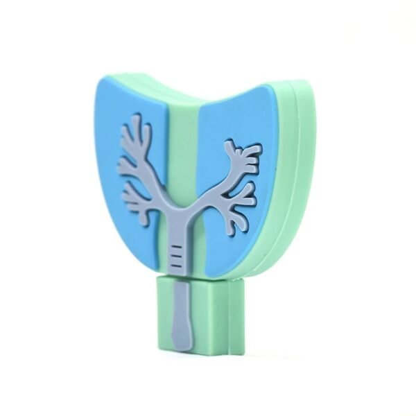 Lung USB Flash Drive