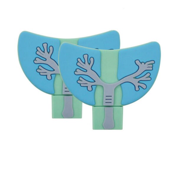 Lung USB Flash Drive