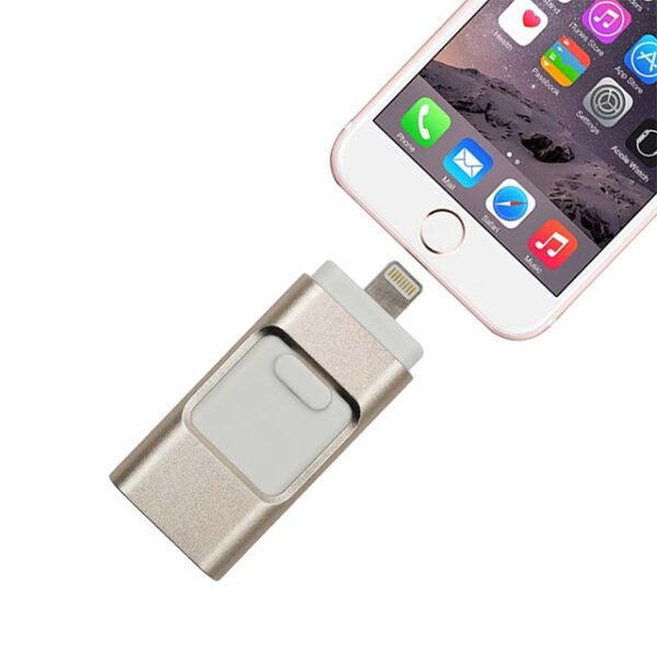 Pushing Lightning USB Stick