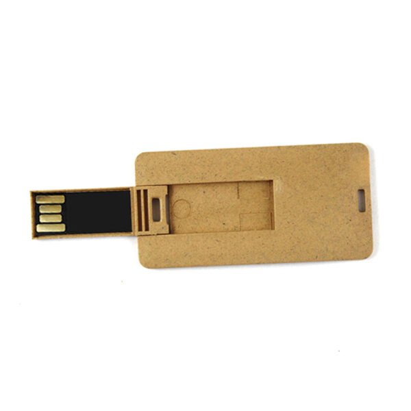 Rectangular Eco-friendly Card USB Drive