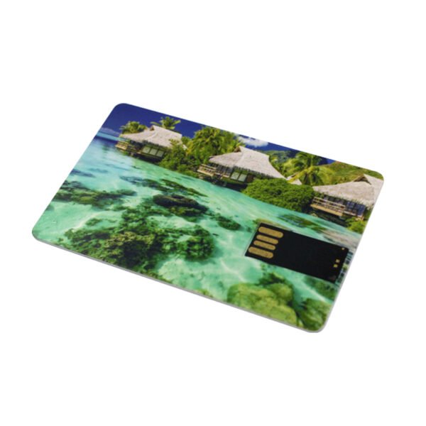 Slim Card USB Flash Drive